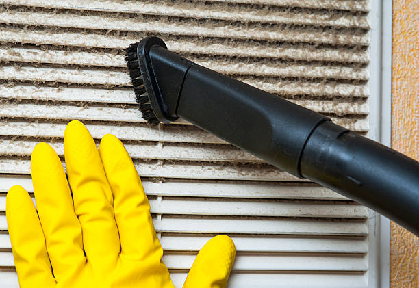 Best Duct Cleaning for Homes  in USA